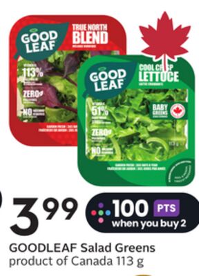 Salad Greens