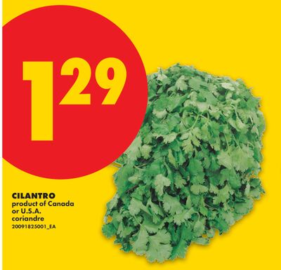 CILANTRO