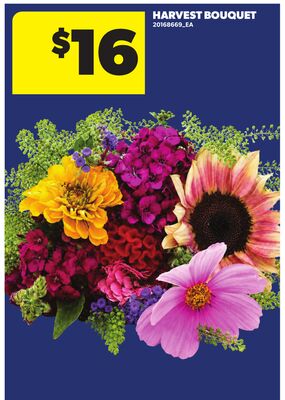 HARVEST BOUQUET