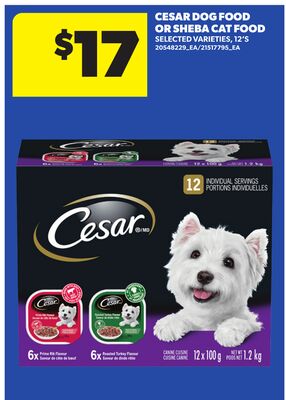 CESAR DOG FOOD OR SHEBA CAT FOOD, 12'S
