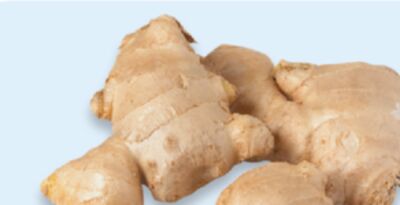 Ginger root or garlic bulk