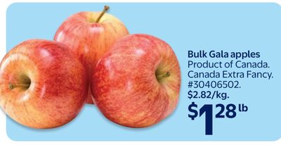 Bulk Gala apples