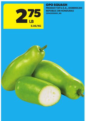 OPO SQUASH