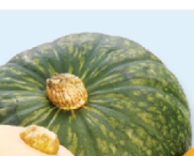 Acorn squash