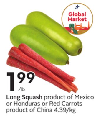 Long Squash