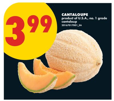 CANTALOUPE