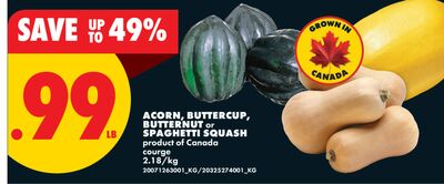 ACORN, BUTTERCUP, BUTTERNUT or SPAGHETTI SQUASH
