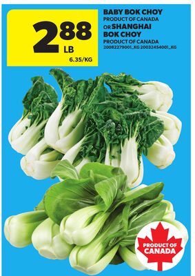 BABY BOK CHOY OR SHANGHAI BOK CHOY