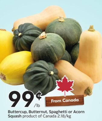 Buttercup, Butternut, Spaghetti or Acorn Squash