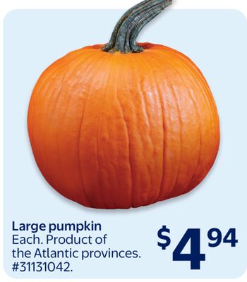 Large pumpkin