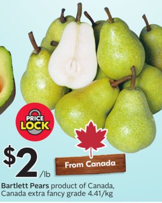 Bartlett Pears