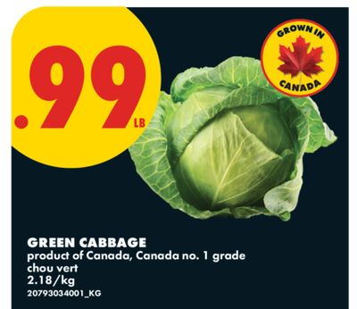 GREEN CABBAGE