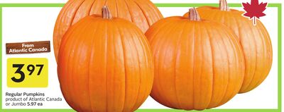 Regular Pumpkins