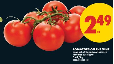 TOMATOES ON THE VINE