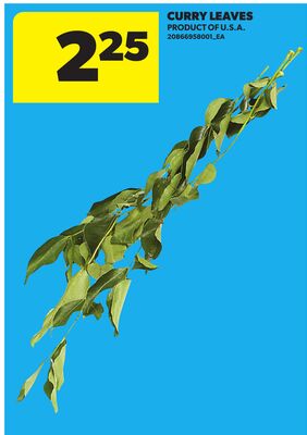 CURRY LEAVES