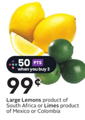 Large Lemons