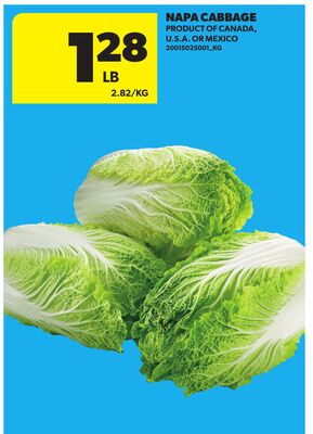 NAPA CABBAGE