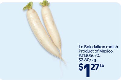 Lo Bok daikon radish