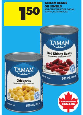 TAMAM BEANS OR LENTILS, 540 ML