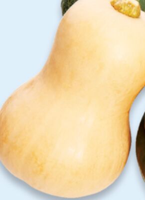 Acorn, butternut, spaghetti, buttercup or kabocha squash