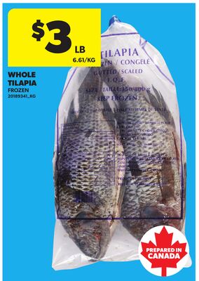 WHOLE TILAPIA