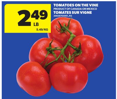 TOMATOES ON THE VINE