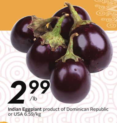 Indian Eggplant
