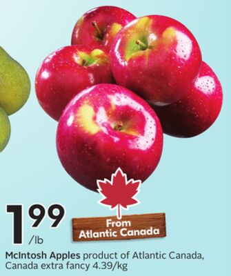 McIntosh Apples