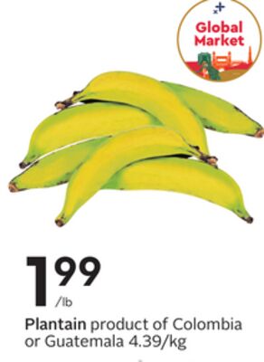Plantain