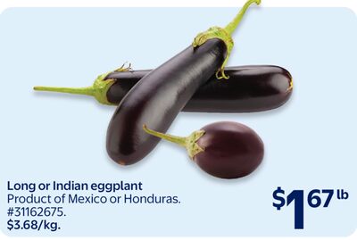 Long or Indian eggplant