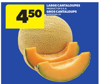 LARGE CANTALOUPES