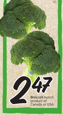 Broccoli bunch