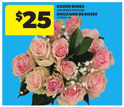 DOZEN ROSES