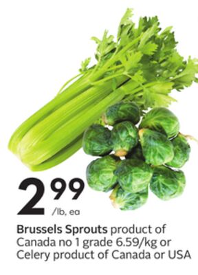 Brussels Sprouts